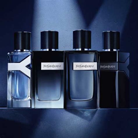 ysl y intense vs le parfum|ysl intense price.